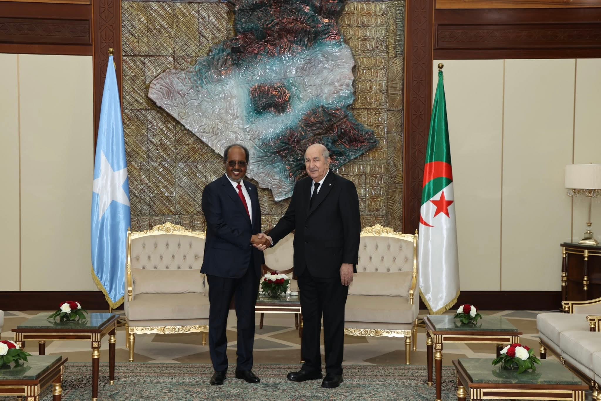 الرئيس تبون يؤكد على الحل السياسي في ليبيا خلال محادثاته مع نظيره الصومالي