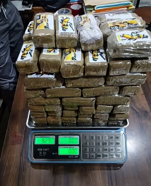 حجز 9 كلغ و290 غ من الكيف المعالج بقسنطينة