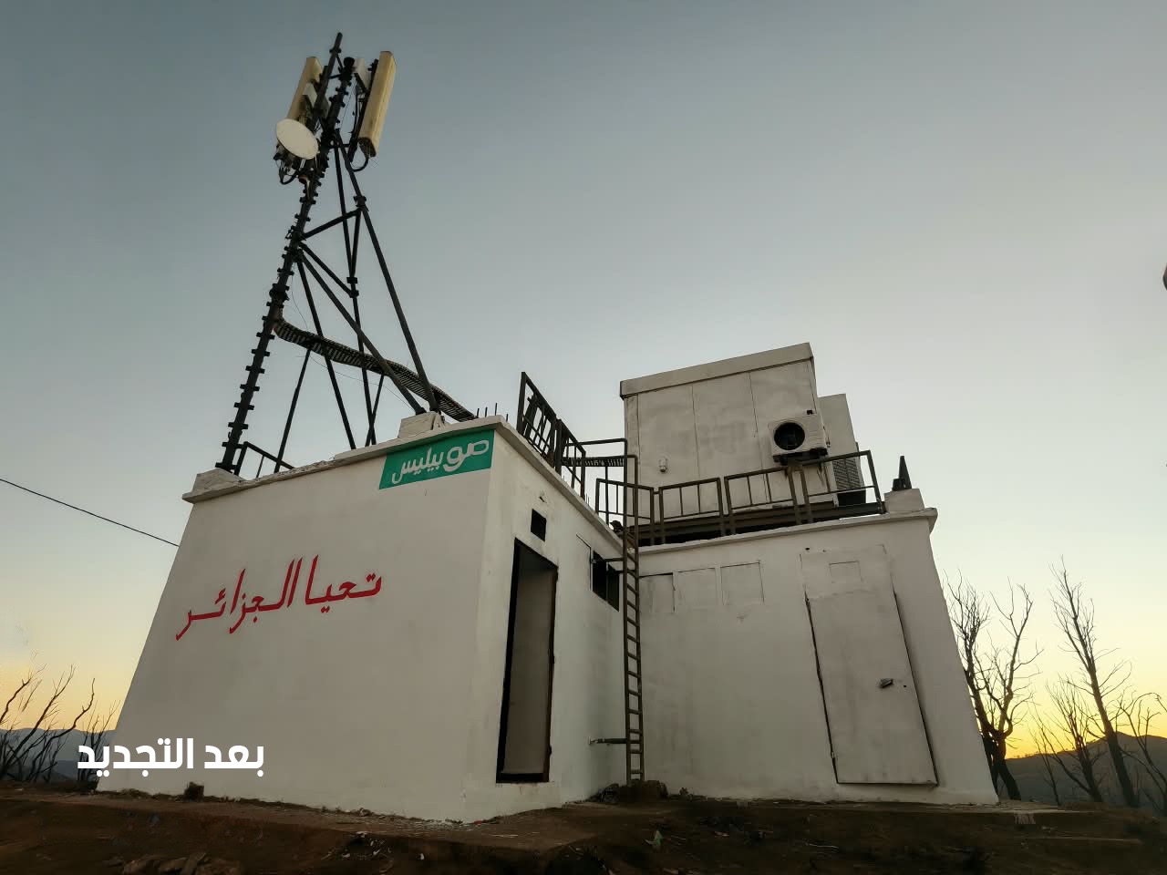 موبيليس تعيد تأهيل كامل شبكتها المتضررة من الحرائق