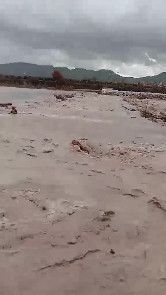 فيديو .. لحظة تدخل اعوان الحماية المدنية من اجل إنقاذ شخصين عالقين في واد سباو تيزي وزو