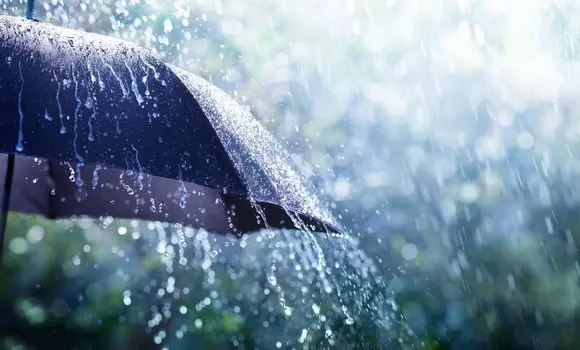 أمطار رعدية مرتقبة على عدد من ولايات الوطن بداية من يوم الجمعة