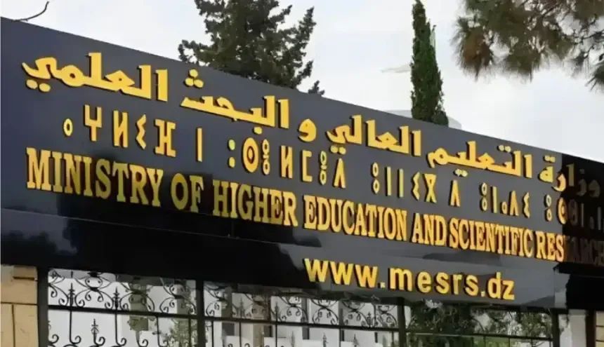 260 مشروع ابتكاري عبر الجامعات في شهر واحد