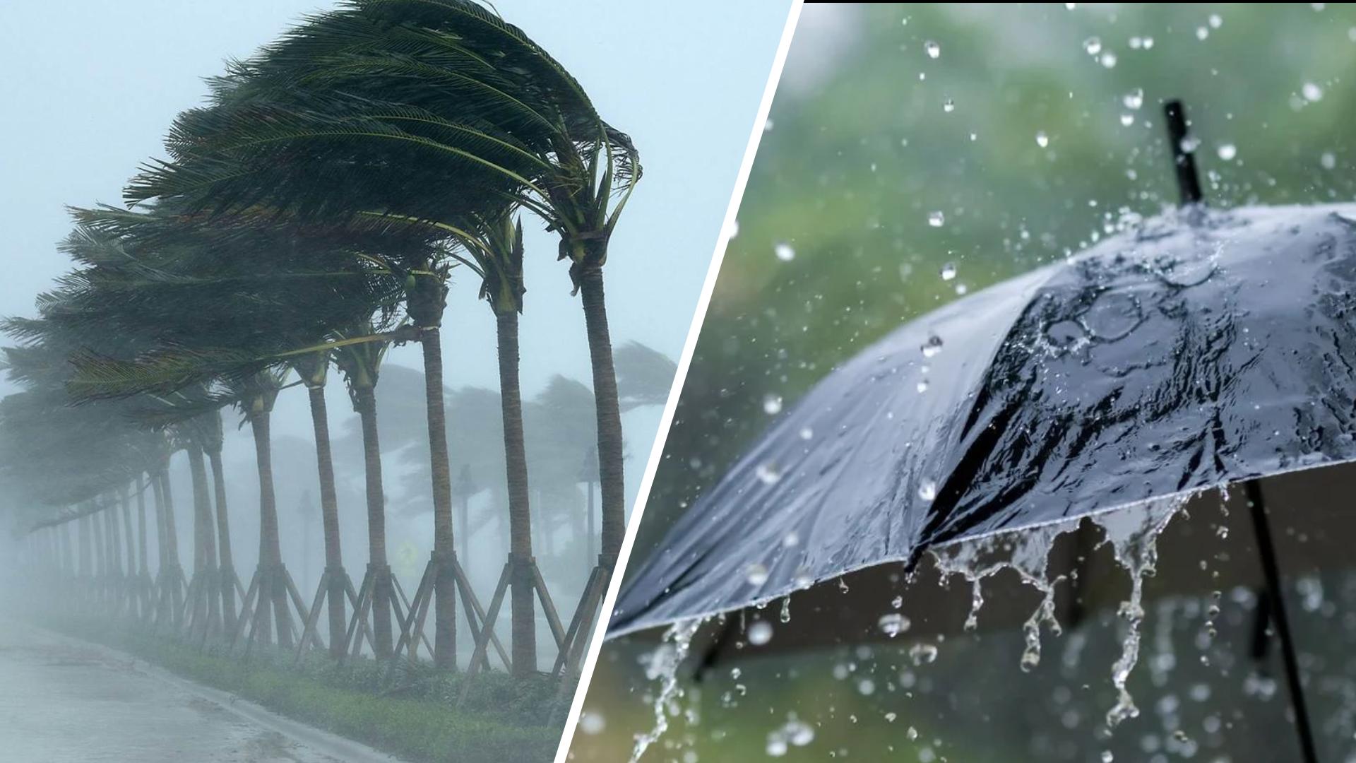 نشرية خاصة: أمطار غزيرة عبر أزيد من 20 ولاية